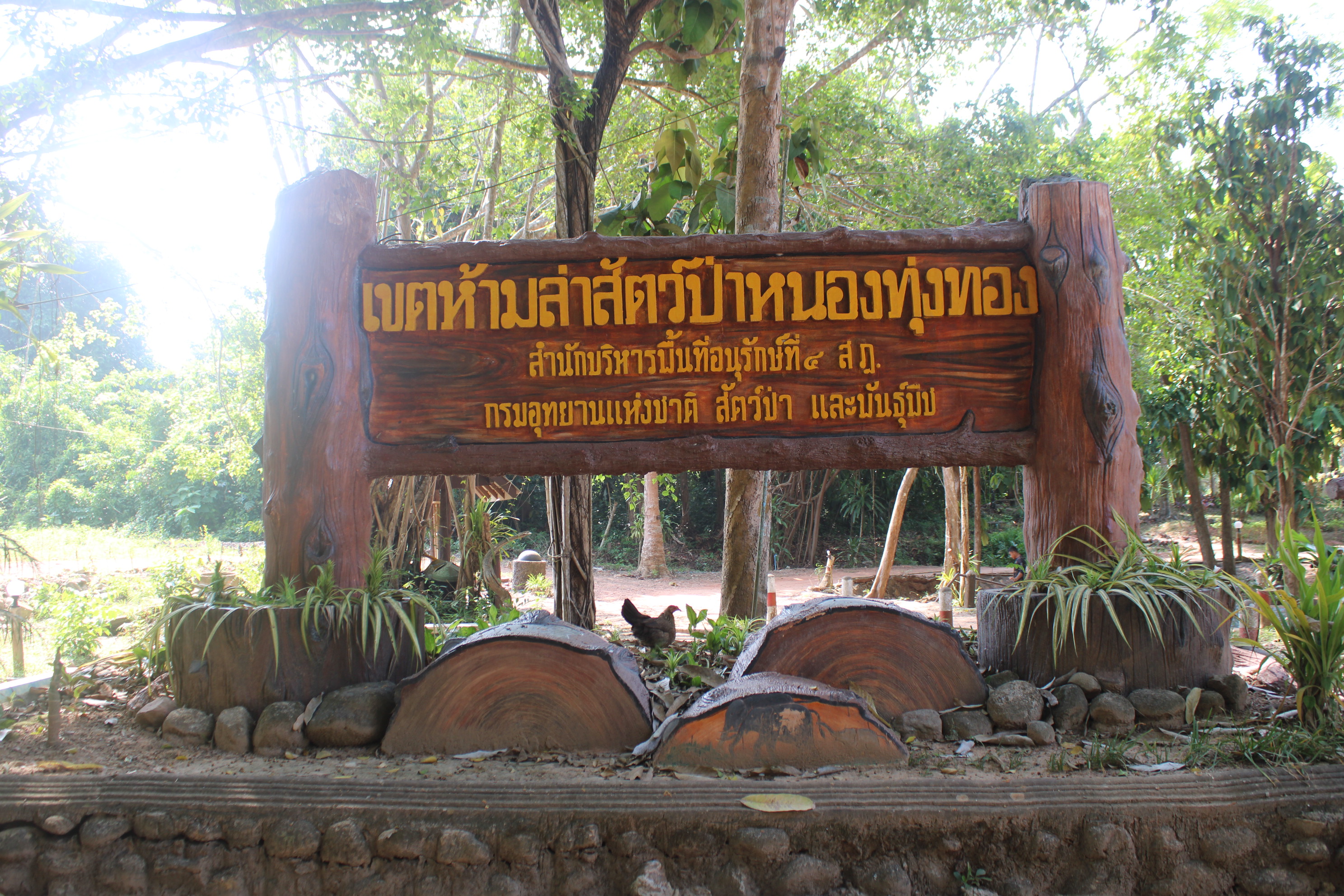 เขตห้ามล่าสัตว์ป่าหนองทุ่งทอง 